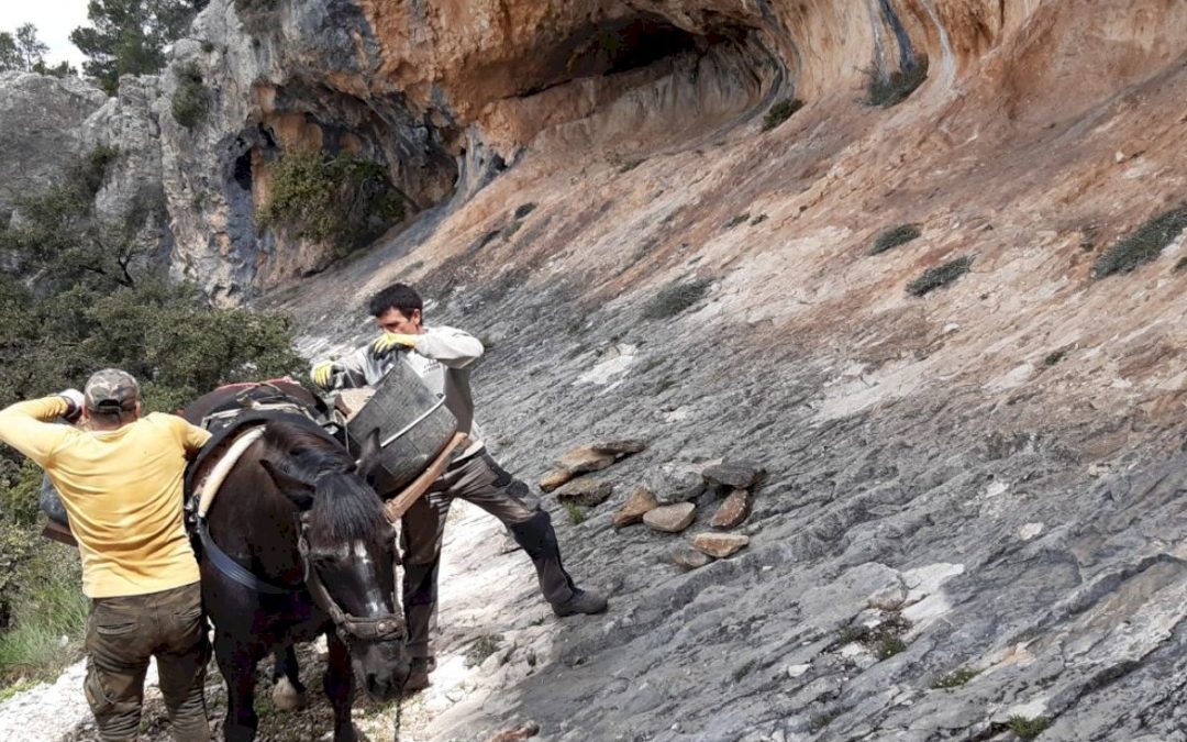 Mejora de la accesibilidad y mantenimiento del entorno de las Pinturas Rupestres de La Sarga. Alcoy